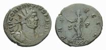 Carausius